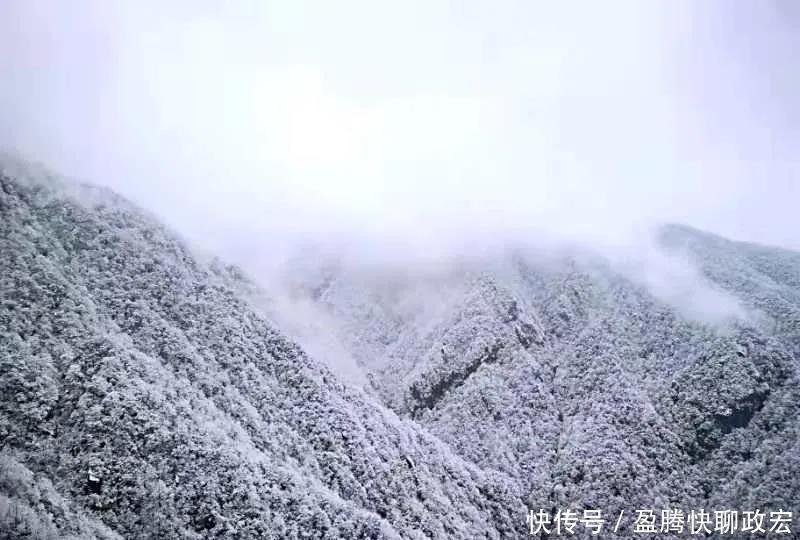 实在|贵州旅游｜贵州下雪啦！这些雪景图实在太美了！你那边下雪没？