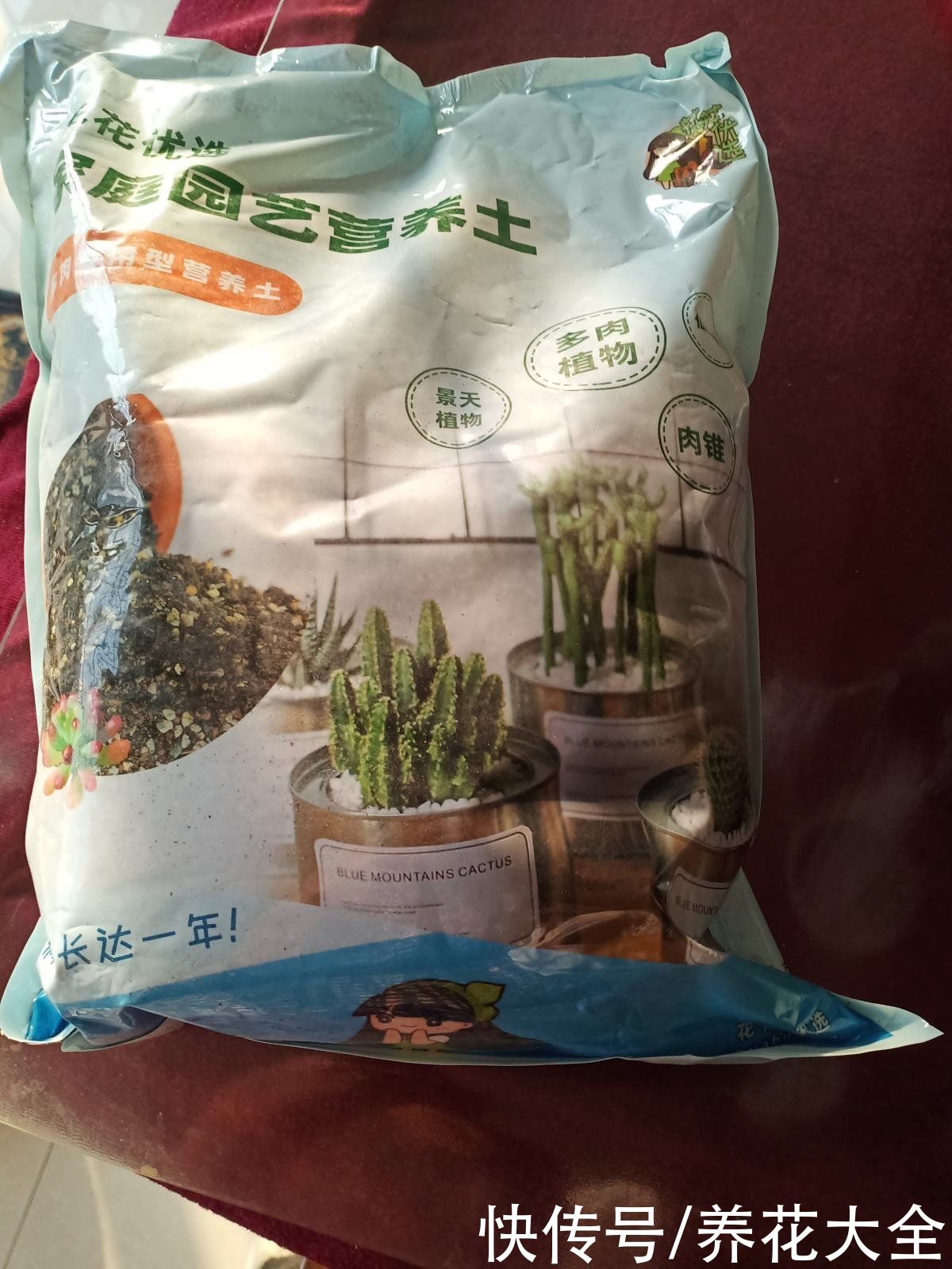 春天养花最好用营养土，好处有3点，性价比超高