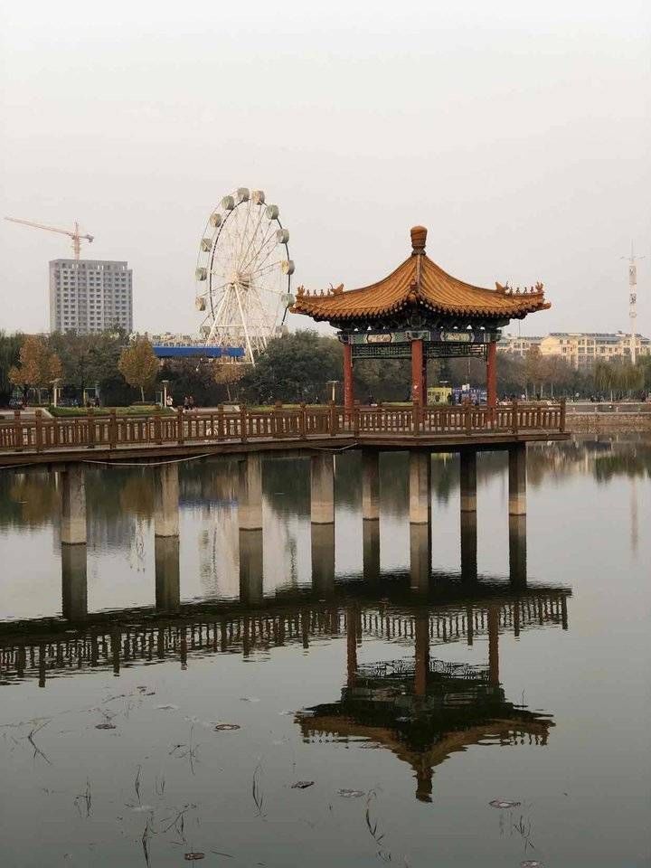 褚延锋|身边风景，最慰人心