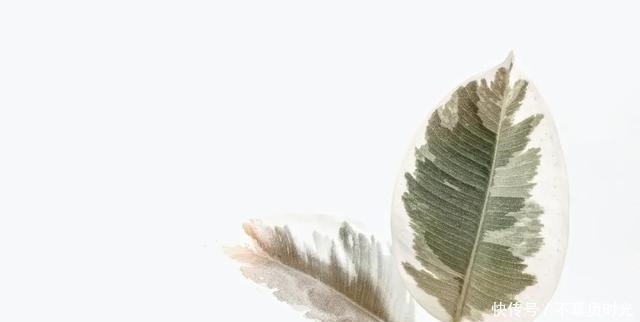 脾虛百病生，《傷寒論》教你健脾祛濕