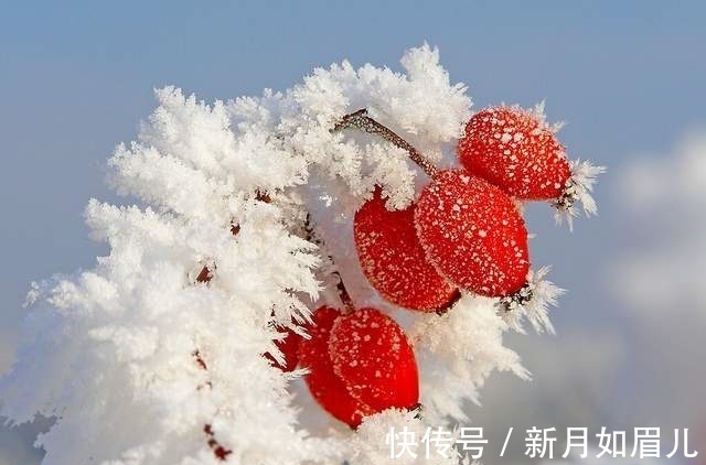 冬天&散文,浅墨初冬,霜露浓