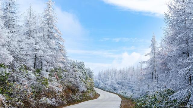 韦成柏$时逢小雪北风忽,旷野空山草萎枯。《小雪》诗词63首