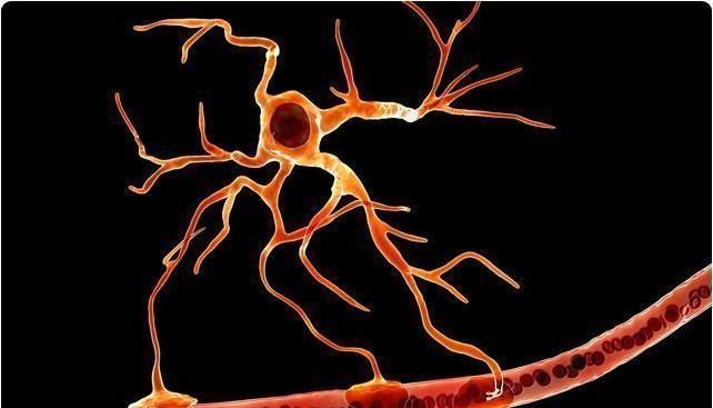 视力|血管的“去污剂”不是芹菜,平时紧着吃,给血管冲冲澡,血脂降了