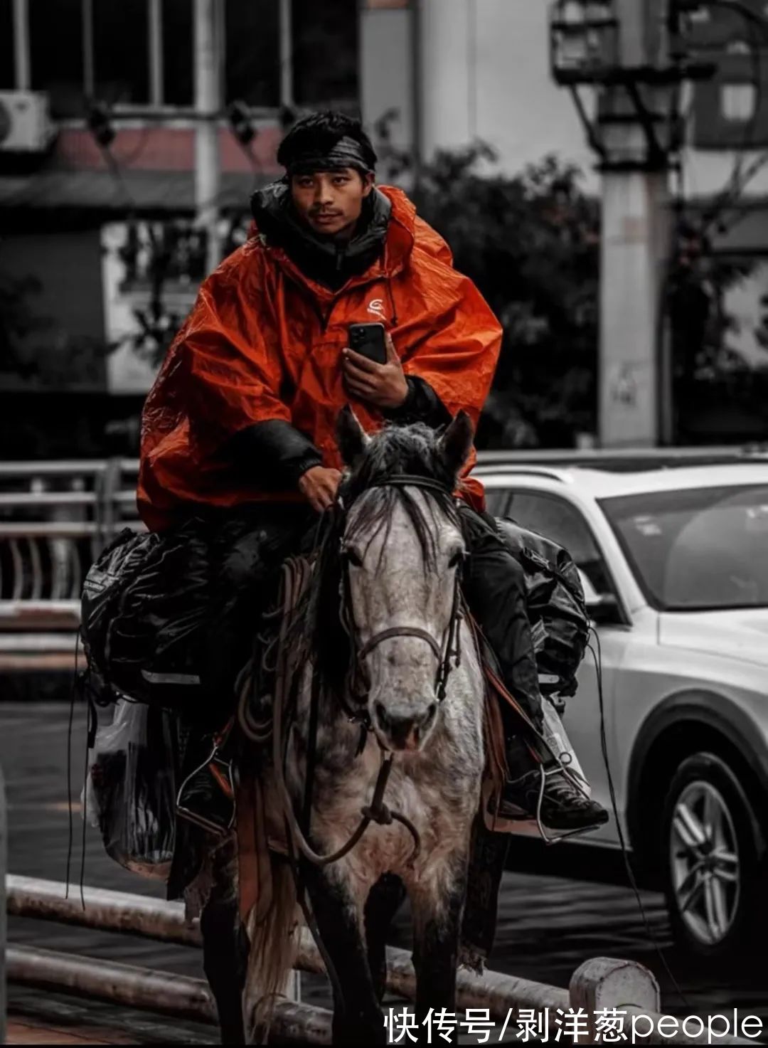 小伙|重庆小伙八千里路走单骑，骑马从新疆返乡