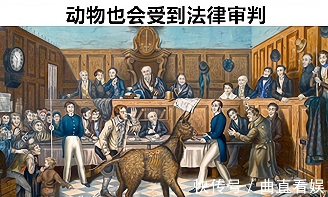 动物!在欧洲中世纪真实存在的,8件让现代人看起来很荒谬的事情