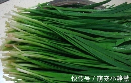 选购韭菜时,看到这4种扭头就走,摊主:眼真尖,是识货的主!