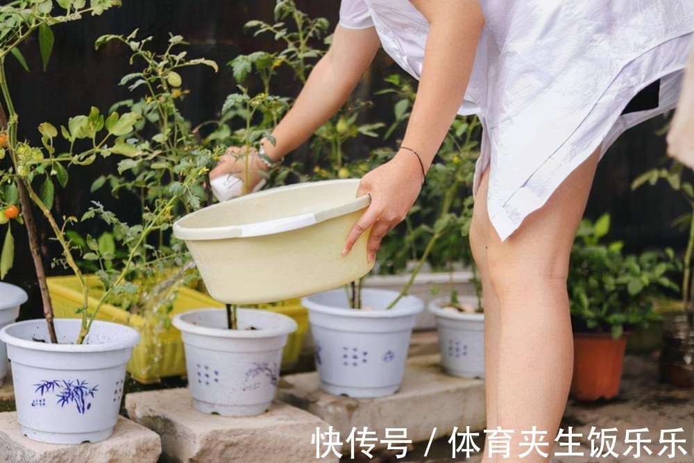 养花就是养土,这些“壳”随处可见,把它们埋土里,土壤不板结