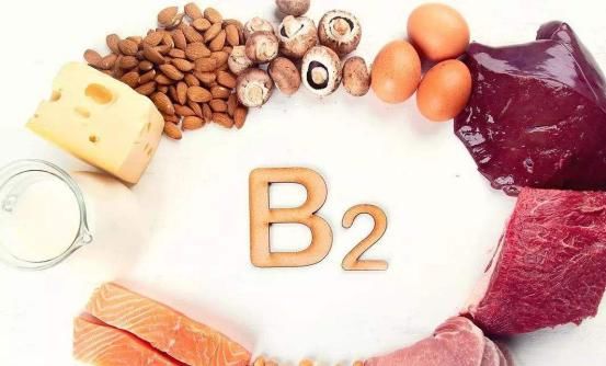 营养|哪些食物是营养冠军?它们看起来普通却营养丰富!一起了解一下