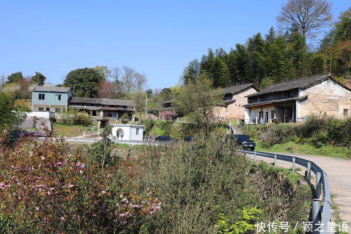 高山村落，樱花盛开，天空之境，天上人间