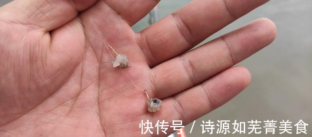 被吹上天的四种爆护神饵二,我已经帮大家试过了,只有一种效果好!