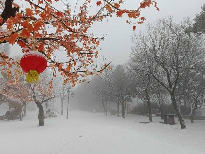 第一场雪|2022第一场雪，齐鲁雪乡腊八节诠释济南的冬天