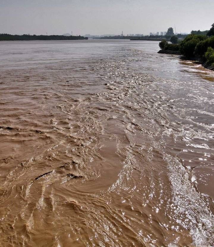 沙土|最美黄河｜我眼中的母亲河：她温暖的沙土治愈婴儿红屁股