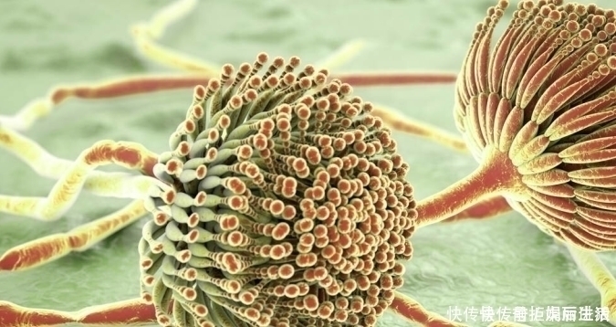 肝脏|肝病为何逐年增多？医生：1种水果比酒还伤肝，要管住嘴，莫忽视