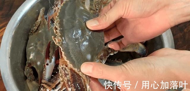 螃蟹|蒸螃蟹时，最忌直接上锅蒸，多做1步，蟹肉鲜嫩入味不流黄！