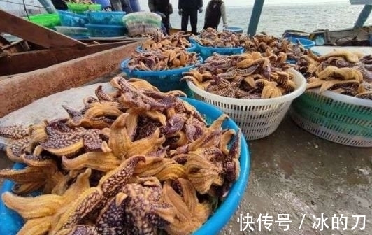 Zw3x4ff6zrylgm Zw3x4ff6zrylgm