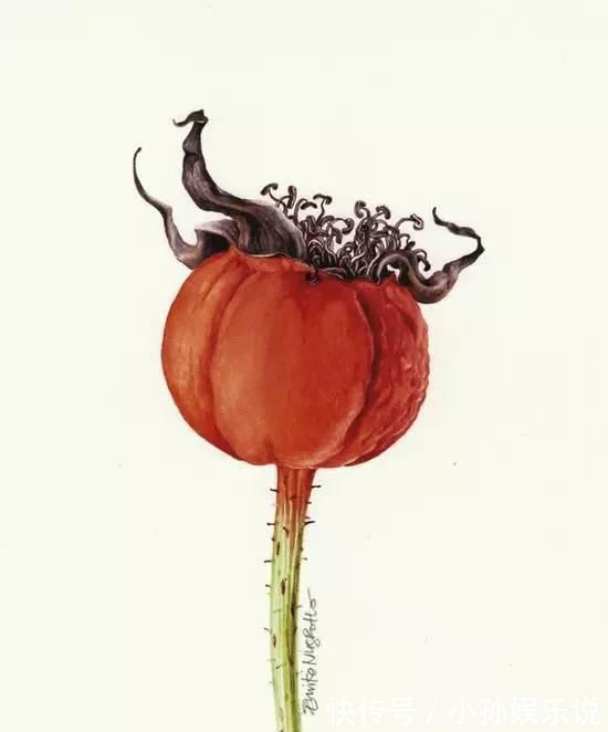 花卉#一位全职妈妈喜欢疯狂画画,教你画水彩花卉