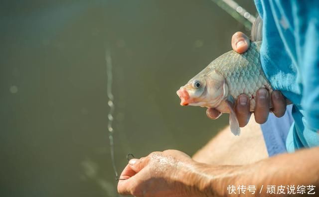 钓位|怪不得老钓友比你钓得多,人家提早都做好了这些准备