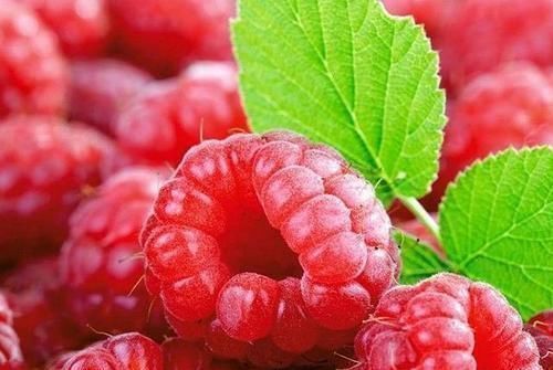 果糖|藏在身边的天然“二甲双胍”,每天换着吃,或使你血糖不升反降