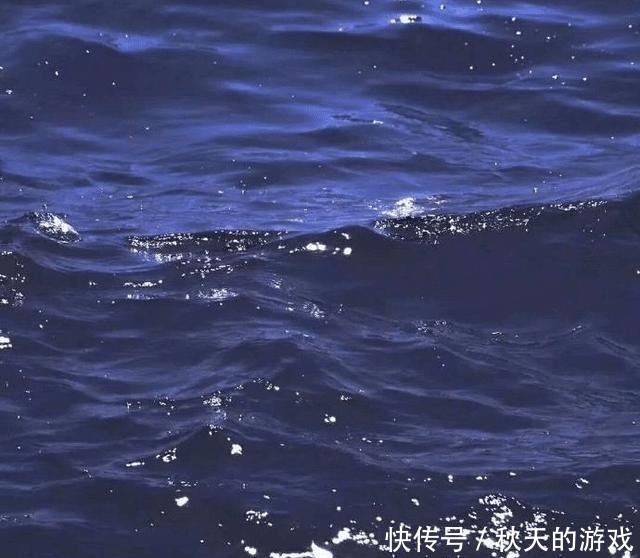 祈念|东野圭吾《祈念守护人》:正因为一无所有,所以才不害怕失去