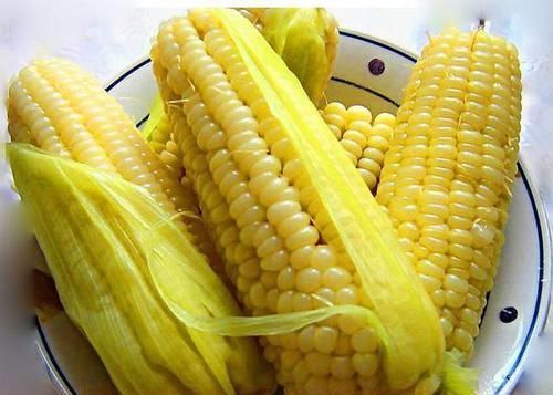 好处|早上坚持吃煮玉米,连吃15天,3个好处意想不到,早知早受益