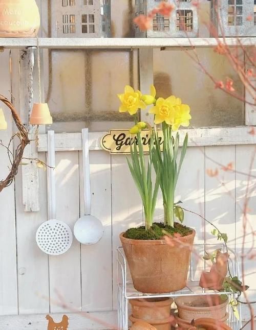 立春带来暖暖的春风，这些事情要做了