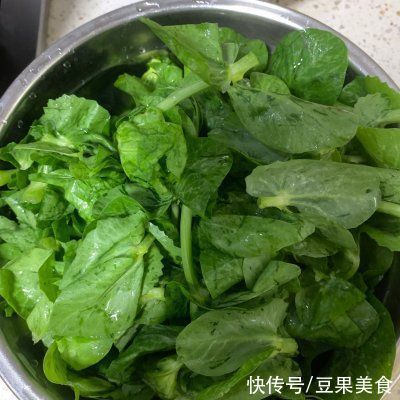 营养|营养和美味,都在这道酱香豌豆尖里