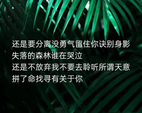  听懂|斗罗134：小舞献祭后，终于听懂了《破茧》《不舍》！歌词重温感动