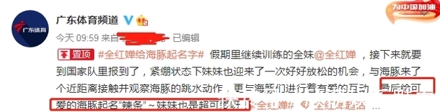海豚|全红婵放假,给小海豚起名字:辣条!还受到领导接见,在会场看书