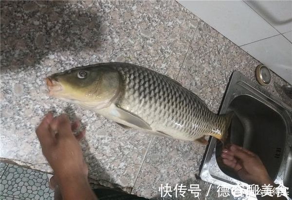 钓动|户外钓鲤鱼,把握好这6钓6不钓,渔获往往不会差