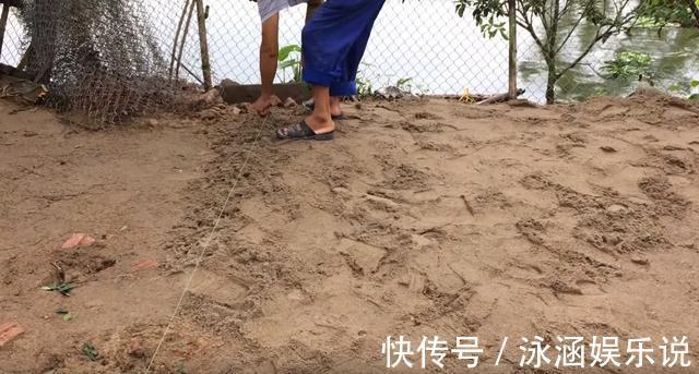 院子|老爸在家闲不住,用红砖铺院子,拼花效果比大理石还好看耐用