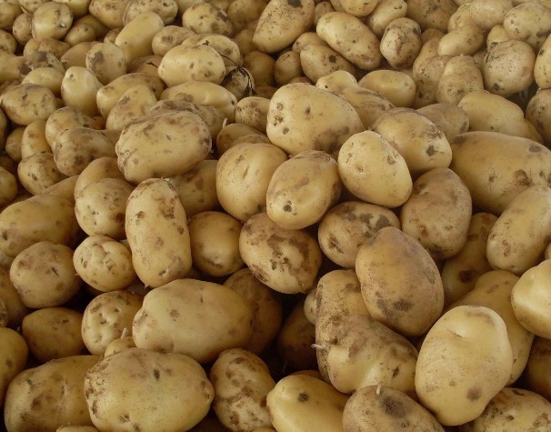 食物|冰箱一定不能放3种食物，会变质的更快，很多人不清楚，了解下