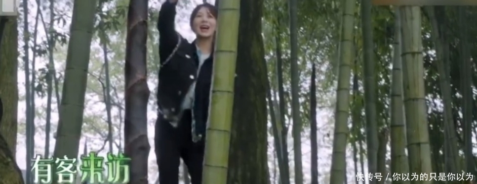 刘晓邑|杨紫蘑菇屋趣事不断,只有一颗咖啡豆,张子枫研究高级喝法