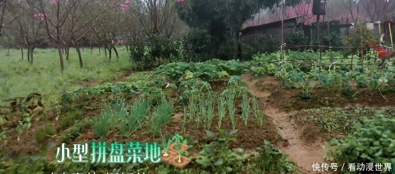 向往的生活:嘉宾们惬意干净的农村生活,还有你没看到的另一面