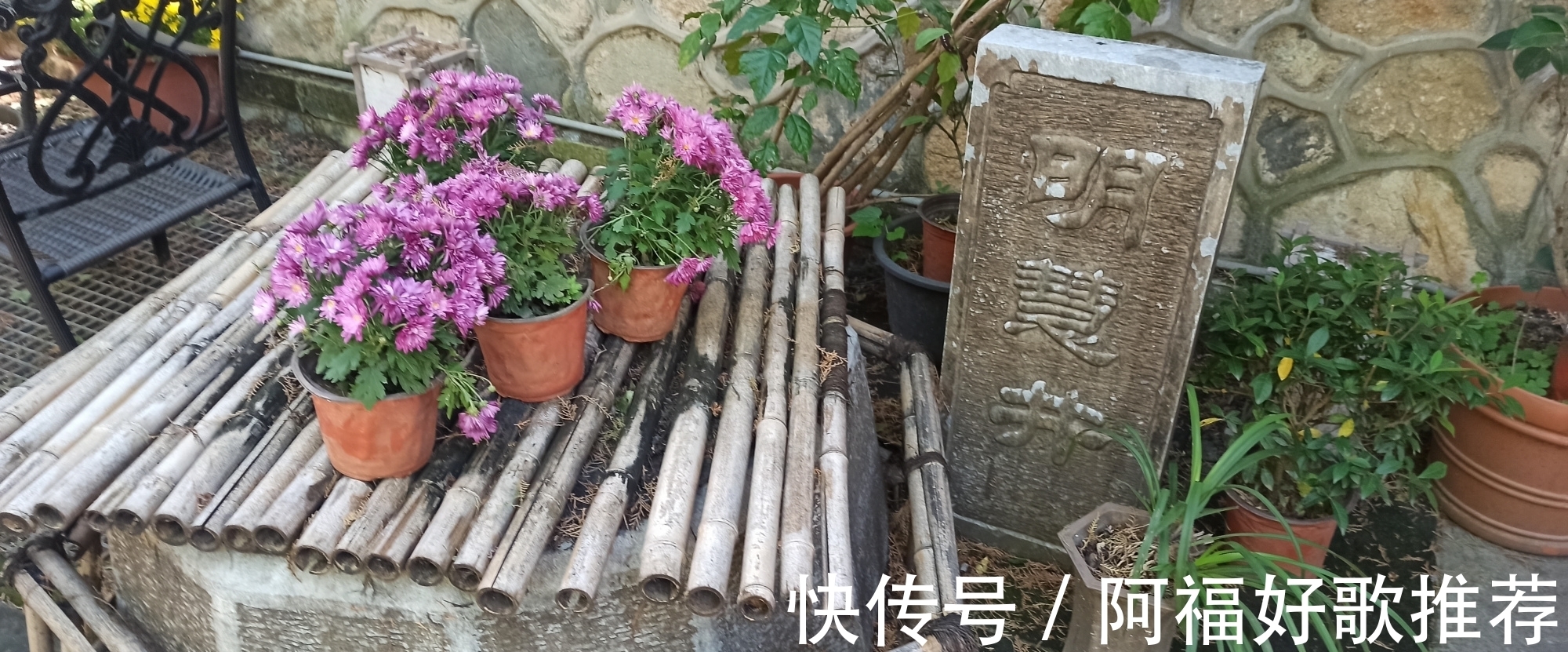 大觉寺|莱芜人在北京：游西山大觉寺