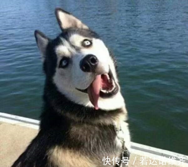 |搞笑句子阴阳怪气