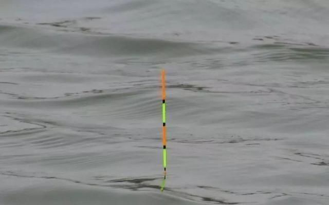 钓鱼|夏天下风口真的好钓鱼,只是要找对位置,还要用对方法