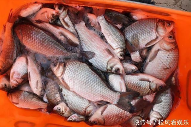 冬季钓鲫鱼找到鱼是关键,3种方法让你找到鱼窝