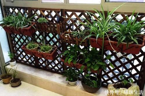 户型|你家如果只有一个阳台,那阳台就参照这样装吧,不浪费半点空间