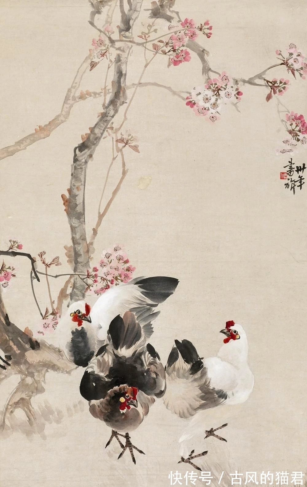 花鸟画!独特的魅力|张书旂花鸟画