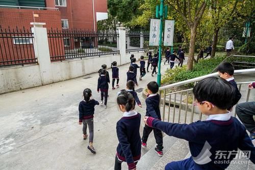 足球|家门口的体育特色学校｜从零基础到足球小将，孩子们找到“好朋友”