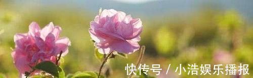 睡眠|每天睡前30分钟,坚持两动作,缓解焦虑,促进睡眠,一觉睡到天亮