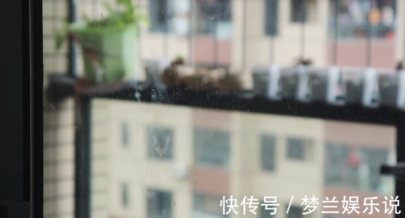 不论玻璃多脏，只需要学会这一招，不用一滴水，干净明亮不留灰尘