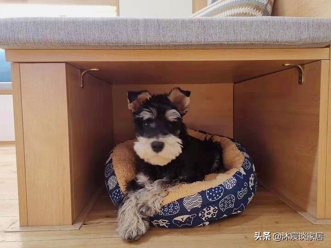 装修|她家改造实在太牛了,光玄关就让人服气,的确是小户型装修的样本