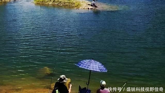 钓友|别人上鱼你不上鱼,埋怨根本没用,运用这3个技巧,钓到鱼不难