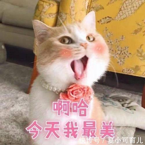孕妈们|公认好用的5款“化妆品”,上妆水润持久不脱妆,孕妈值得入手
