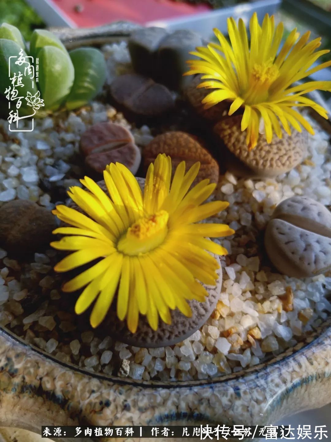 养肉路上，累并快乐着！时光不语，静待花开！