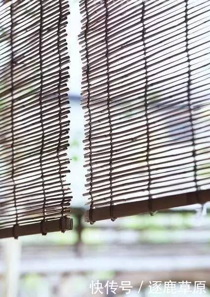 熟悉|这十句最熟悉的古诗词,记住了就是一辈子