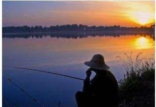 钓位|八月钓鲤鱼用上这几招才过瘾,不管在哪钓,半天就爆护