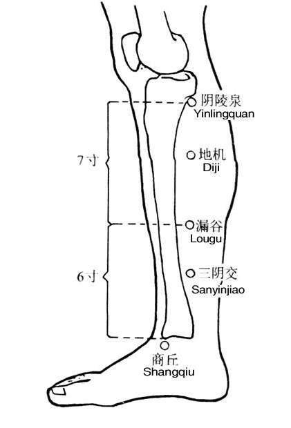 老中医|脾,后天之本!老中医带你品味人体脾经大药!补脾通络,胜吃补药