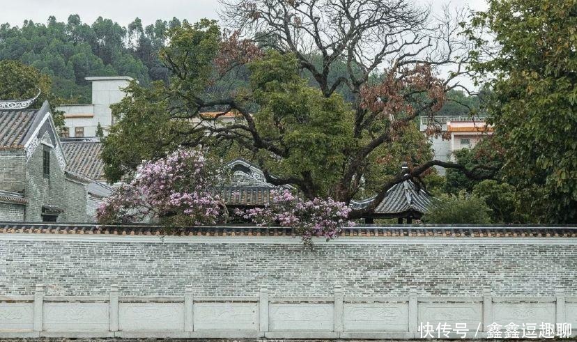 广州千年古村落，细看明清岭南水乡，闻到古时候的味道